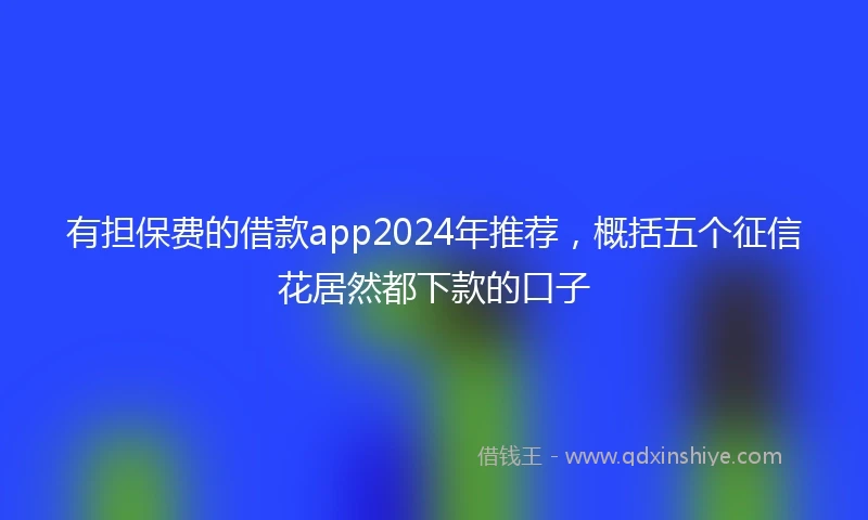 有担保费的借款app2024年推荐，概括五个征信花居然都下款的口子
