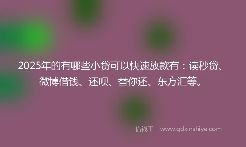 2025年的有哪些小贷可以快速放款有：读秒贷、微博借钱、还呗、替你还、东方汇等。