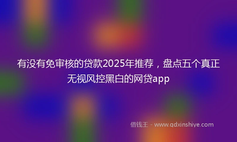 有没有免审核的贷款2025年推荐，盘点五个真正无视风控黑白的网贷app