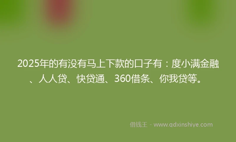 2025年的有没有马上下款的口子有：度小满金融、人人贷、快贷通、360借条、你我贷等。