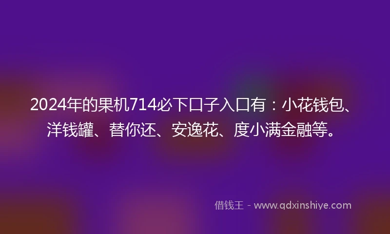 2024年的果机714必下口子入口有：小花钱包、洋钱罐、替你还、安逸花、度小满金融等。