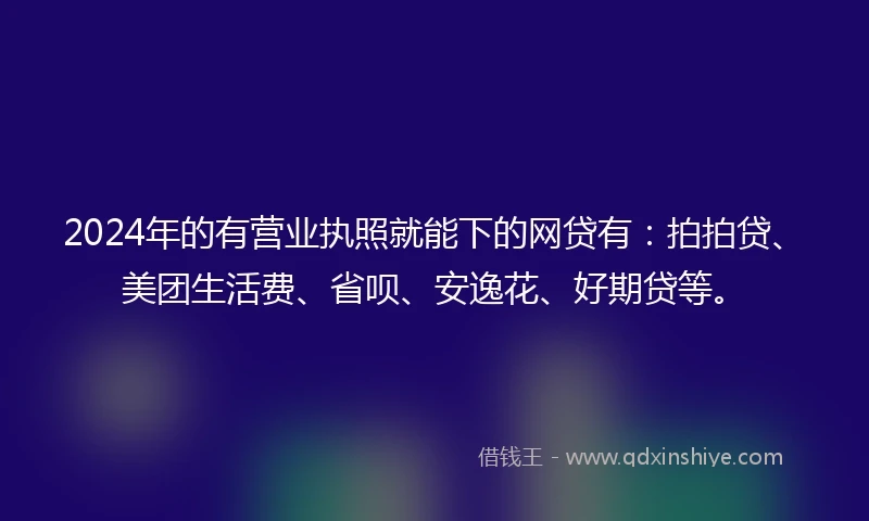 2024年的有营业执照就能下的网贷有：拍拍贷、美团生活费、省呗、安逸花、好期贷等。