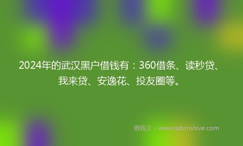 2024年的武汉黑户借钱有：360借条、读秒贷、我来贷、安逸花、投友圈等。