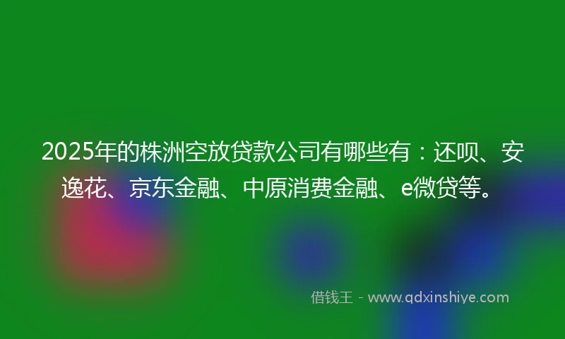 2025年的株洲空放贷款公司有哪些有：还呗、安逸花、京东金融、中原消费金融、e微贷等。