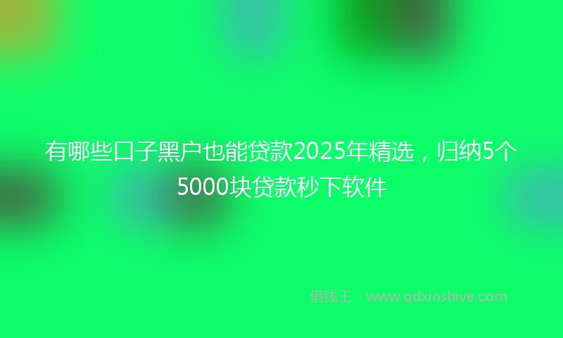 有哪些口子黑户也能贷款2025年精选，归纳5个5000块贷款秒下软件