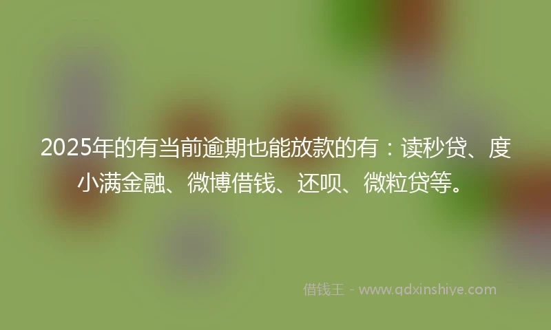 2025年的有当前逾期也能放款的有：读秒贷、度小满金融、微博借钱、还呗、微粒贷等。