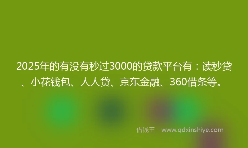 2025年的有没有秒过3000的贷款平台有：读秒贷、小花钱包、人人贷、京东金融、360借条等。