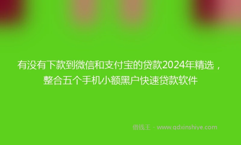 有没有下款到微信和支付宝的贷款2024年精选，整合五个手机小额黑户快速贷款软件