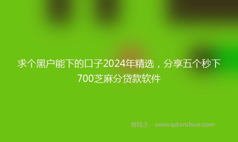 求个黑户能下的口子2024年精选，分享五个秒下700芝麻分贷款软件