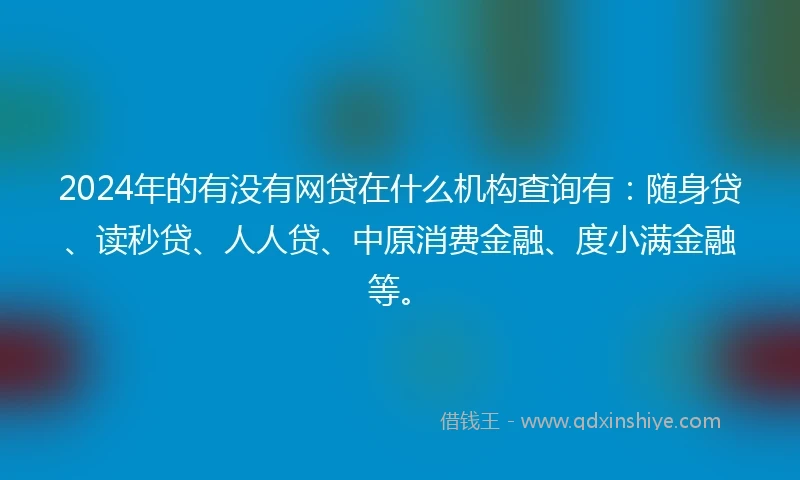 2024年的有没有网贷在什么机构查询有：随身贷、读秒贷、人人贷、中原消费金融、度小满金融等。