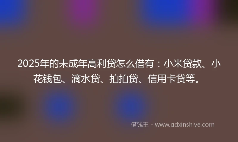 2025年的未成年高利贷怎么借有：小米贷款、小花钱包、滴水贷、拍拍贷、信用卡贷等。