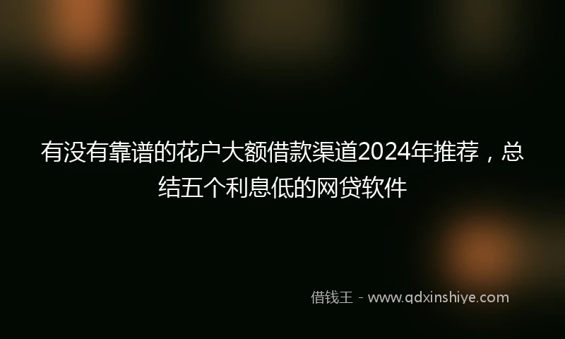 有没有靠谱的花户大额借款渠道2024年推荐，总结五个利息低的网贷软件
