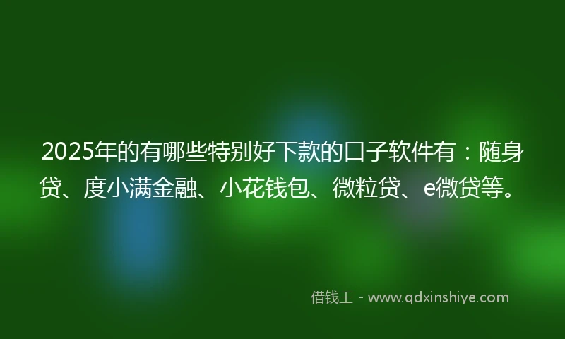2025年的有哪些特别好下款的口子软件有：随身贷、度小满金融、小花钱包、微粒贷、e微贷等。