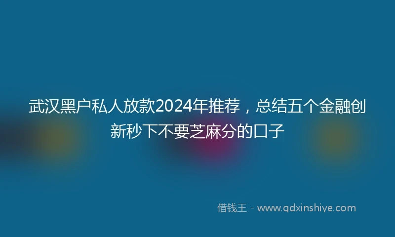 武汉黑户私人放款2024年推荐，总结五个金融创新秒下不要芝麻分的口子