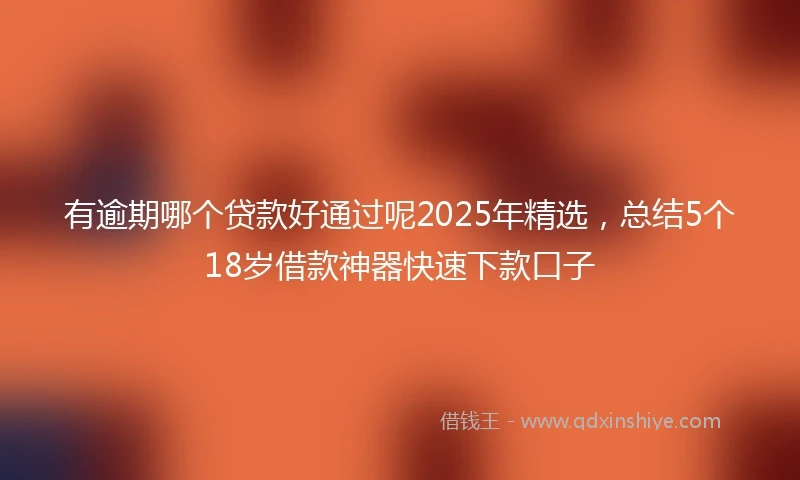 有逾期哪个贷款好通过呢2025年精选，总结5个18岁借款神器快速下款口子