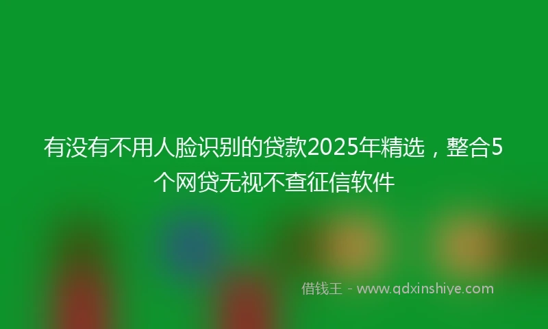 有没有不用人脸识别的贷款2025年精选，整合5个网贷无视不查征信软件