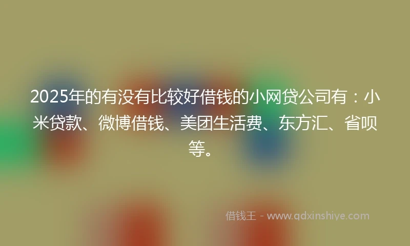 2025年的有没有比较好借钱的小网贷公司有：小米贷款、微博借钱、美团生活费、东方汇、省呗等。