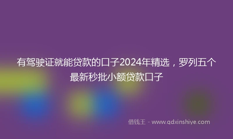 有驾驶证就能贷款的口子2024年精选，罗列五个最新秒批小额贷款口子