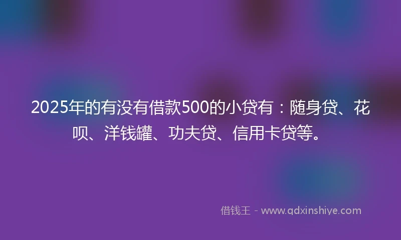 2025年的有没有借款500的小贷有：随身贷、花呗、洋钱罐、功夫贷、信用卡贷等。