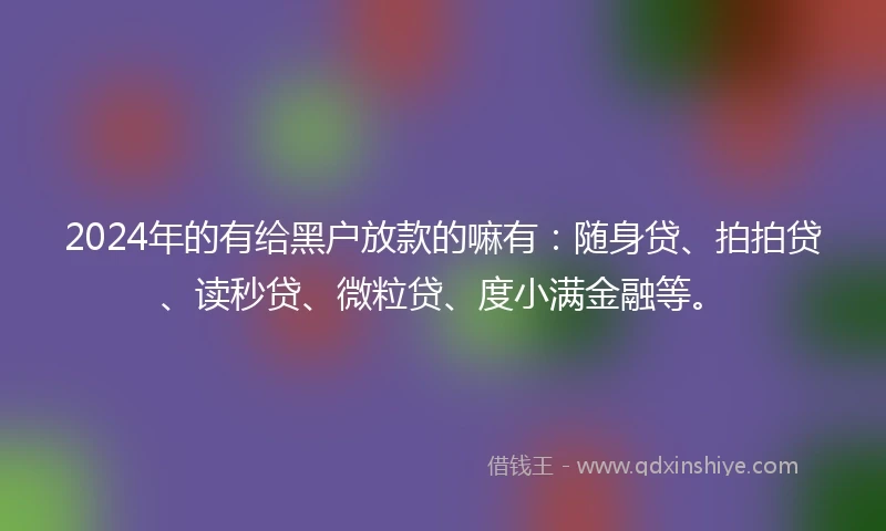 2024年的有给黑户放款的嘛有：随身贷、拍拍贷、读秒贷、微粒贷、度小满金融等。