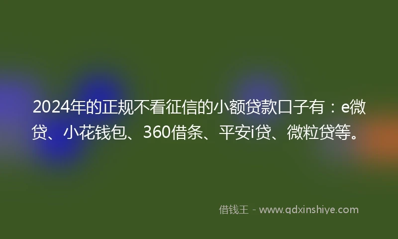2024年的正规不看征信的小额贷款口子有：e微贷、小花钱包、360借条、平安i贷、微粒贷等。