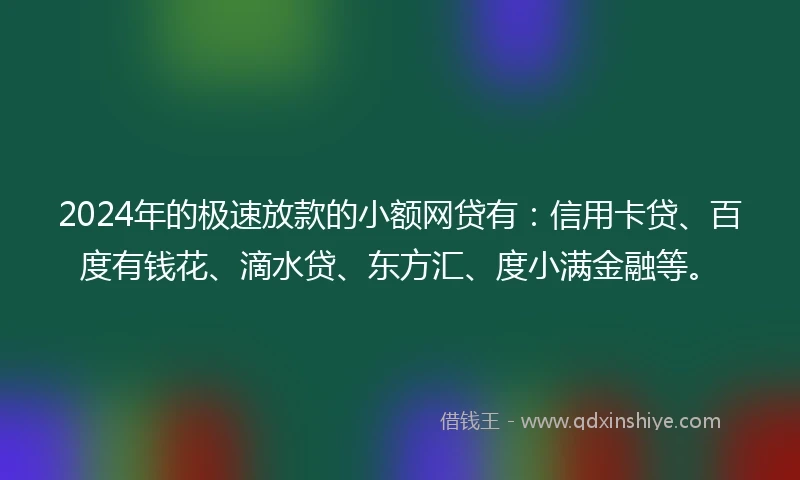 2024年的极速放款的小额网贷有：信用卡贷、百度有钱花、滴水贷、东方汇、度小满金融等。