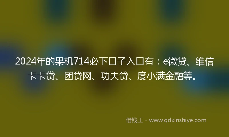 2024年的果机714必下口子入口有：e微贷、维信卡卡贷、团贷网、功夫贷、度小满金融等。