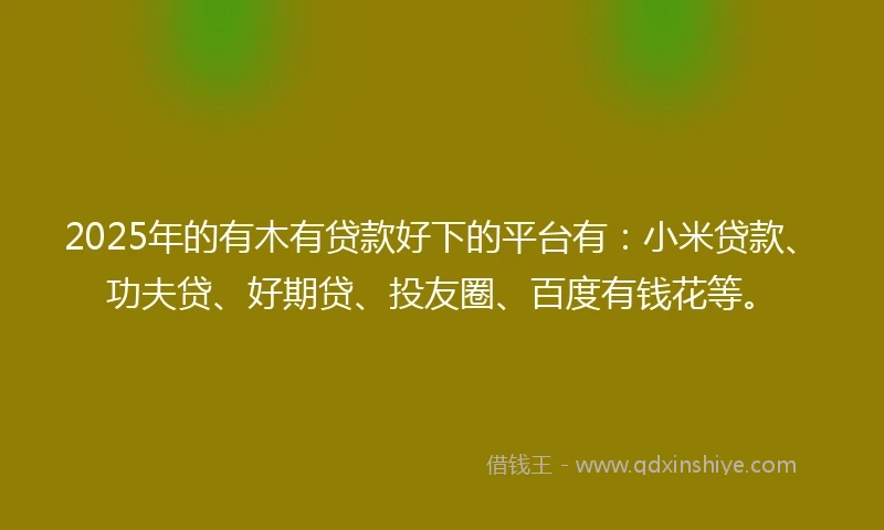 2025年的有木有贷款好下的平台有：小米贷款、功夫贷、好期贷、投友圈、百度有钱花等。