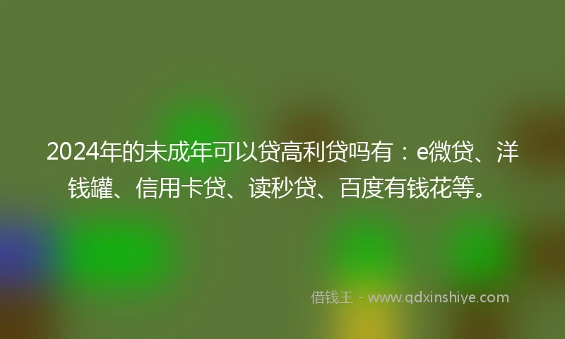 2024年的未成年可以贷高利贷吗有：e微贷、洋钱罐、信用卡贷、读秒贷、百度有钱花等。
