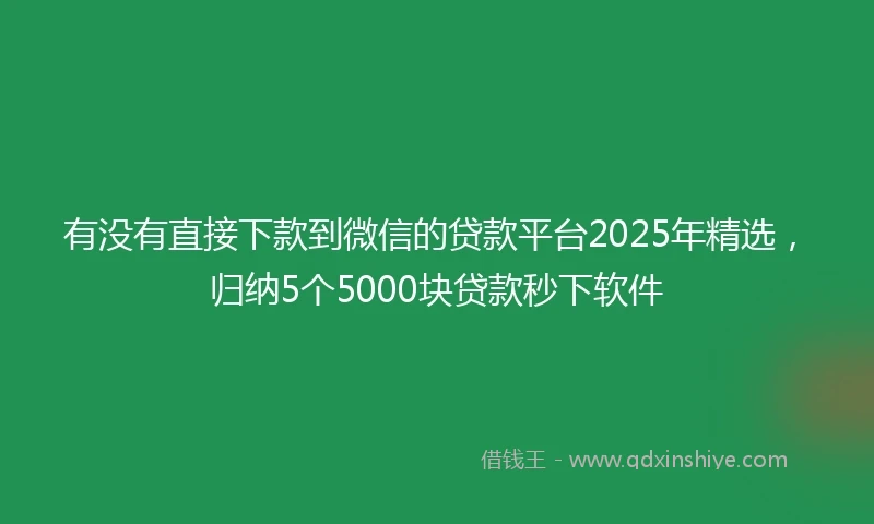 有没有直接下款到微信的贷款平台2025年精选，归纳5个5000块贷款秒下软件