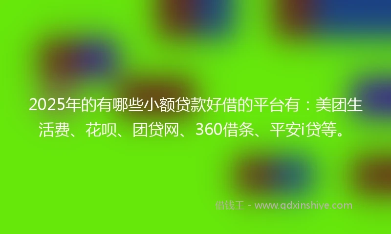 2025年的有哪些小额贷款好借的平台有：美团生活费、花呗、团贷网、360借条、平安i贷等。