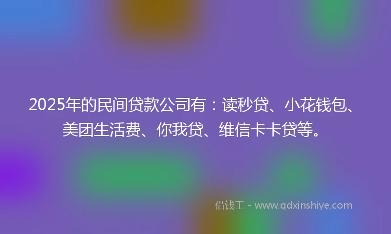 2025年的民间贷款公司有：读秒贷、小花钱包、美团生活费、你我贷、维信卡卡贷等。