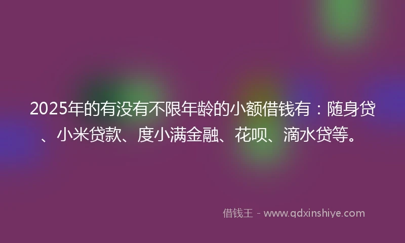 2025年的有没有不限年龄的小额借钱有：随身贷、小米贷款、度小满金融、花呗、滴水贷等。