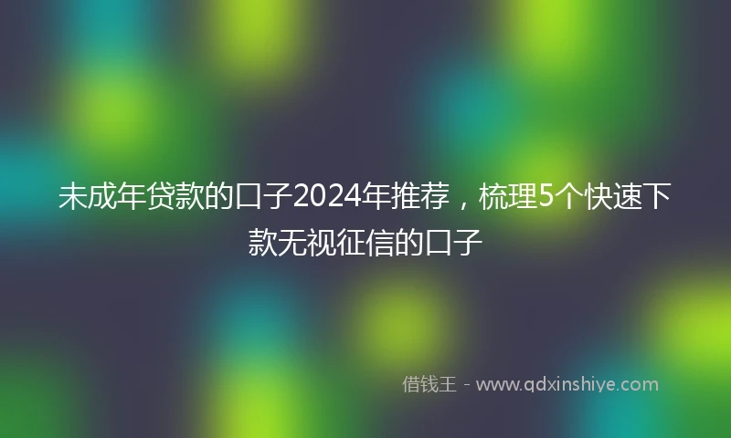 未成年贷款的口子2024年推荐，梳理5个快速下款无视征信的口子