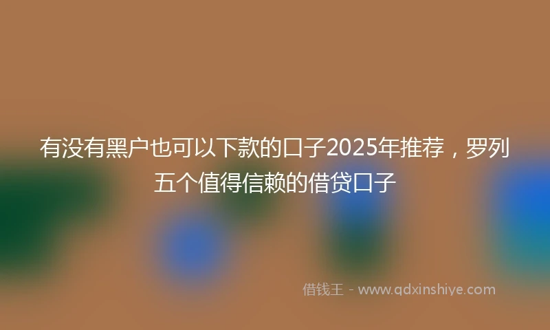 有没有黑户也可以下款的口子2025年推荐，罗列五个值得信赖的借贷口子
