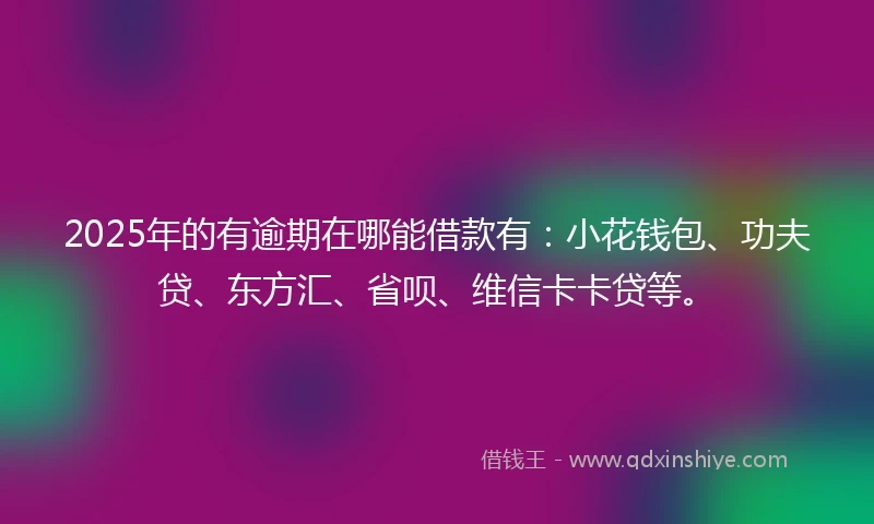 2025年的有逾期在哪能借款有：小花钱包、功夫贷、东方汇、省呗、维信卡卡贷等。