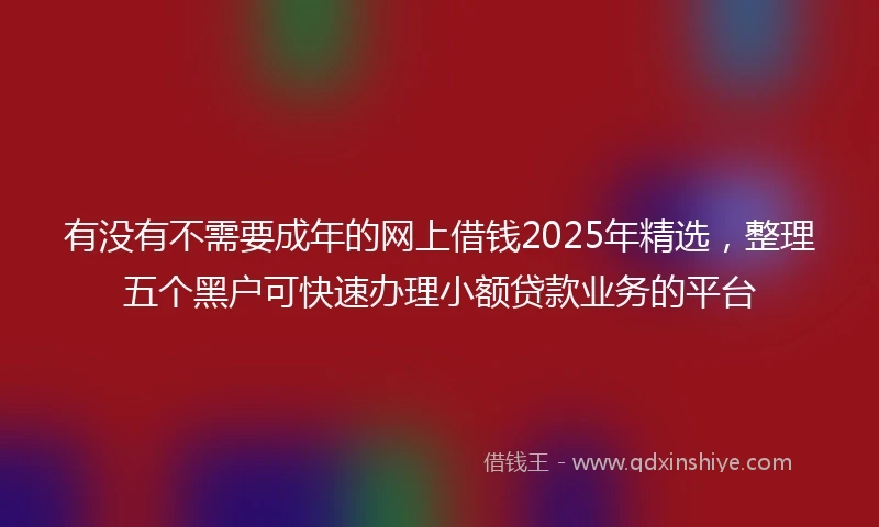 有没有不需要成年的网上借钱2025年精选，整理五个黑户可快速办理小额贷款业务的平台