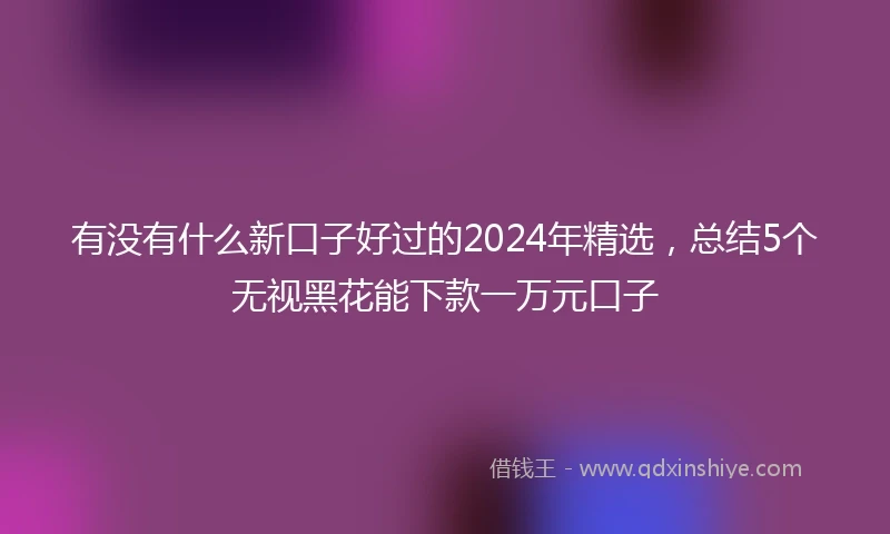 有没有什么新口子好过的2024年精选，总结5个无视黑花能下款一万元口子