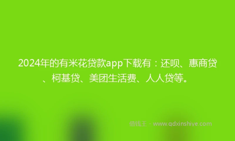 2024年的有米花贷款app下载有：还呗、惠商贷、柯基贷、美团生活费、人人贷等。