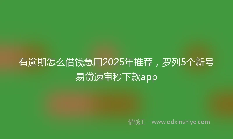 有逾期怎么借钱急用2025年推荐，罗列5个新号易贷速审秒下款app