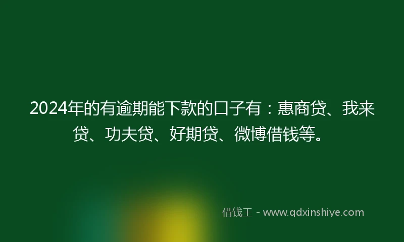 2024年的有逾期能下款的口子有：惠商贷、我来贷、功夫贷、好期贷、微博借钱等。