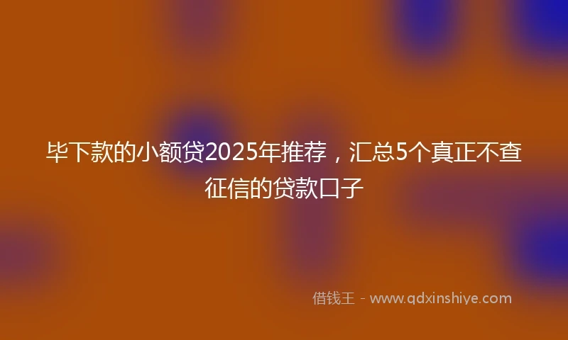 毕下款的小额贷2025年推荐，汇总5个真正不查征信的贷款口子