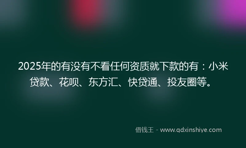 2025年的有没有不看任何资质就下款的有：小米贷款、花呗、东方汇、快贷通、投友圈等。