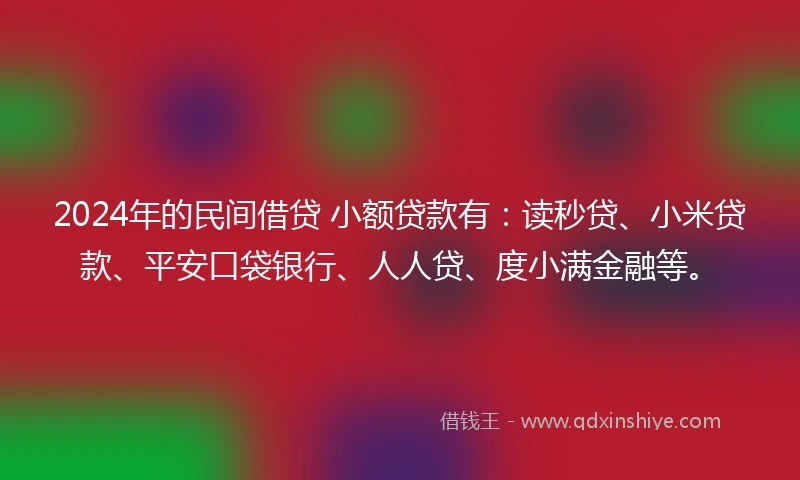 2024年的民间借贷 小额贷款有：读秒贷、小米贷款、平安口袋银行、人人贷、度小满金融等。