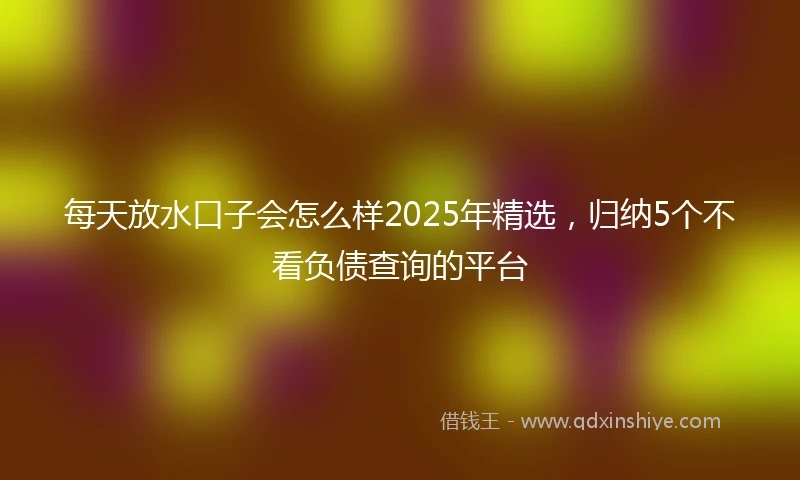 每天放水口子会怎么样2025年精选，归纳5个不看负债查询的平台