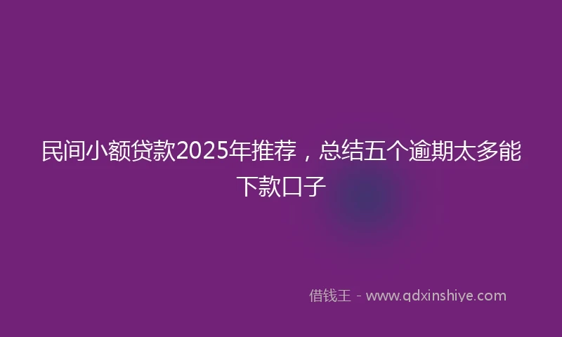 民间小额贷款2025年推荐，总结五个逾期太多能下款口子