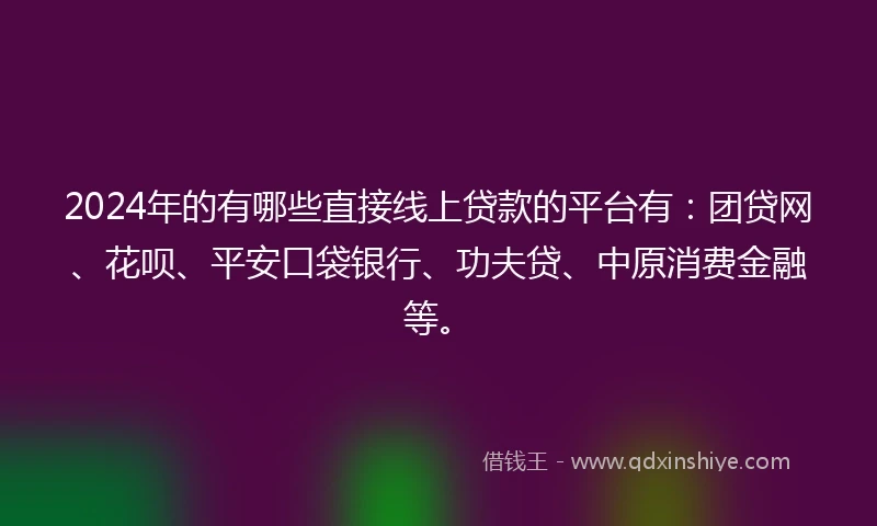 2024年的有哪些直接线上贷款的平台有：团贷网、花呗、平安口袋银行、功夫贷、中原消费金融等。