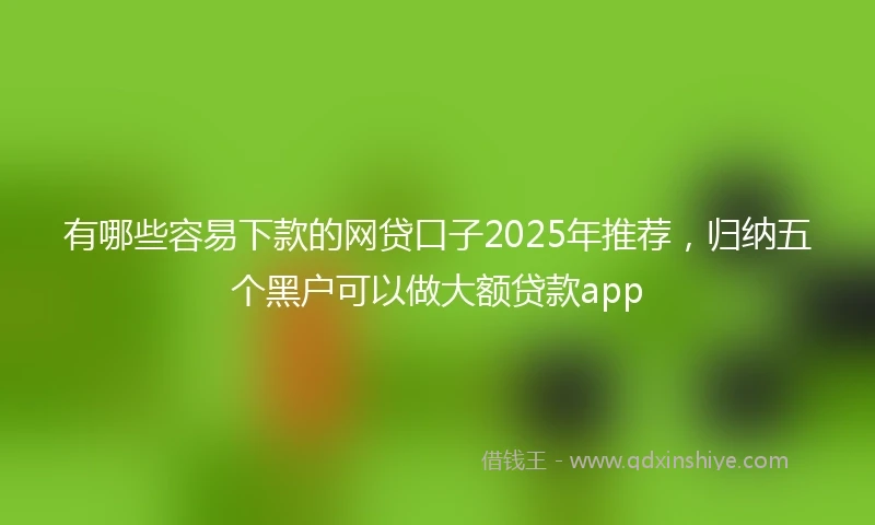 有哪些容易下款的网贷口子2025年推荐，归纳五个黑户可以做大额贷款app