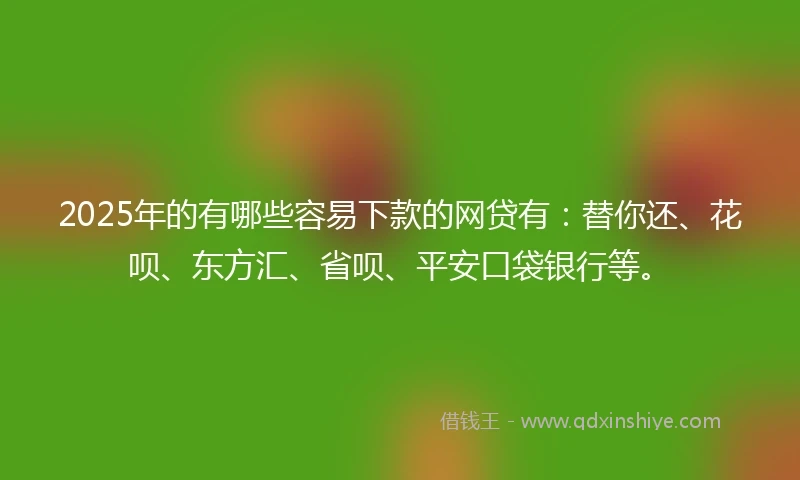 2025年的有哪些容易下款的网贷有：替你还、花呗、东方汇、省呗、平安口袋银行等。