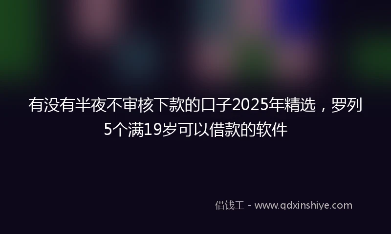有没有半夜不审核下款的口子2025年精选，罗列5个满19岁可以借款的软件